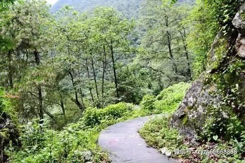 “千帆杯”倒计时1天！你想知道的大赛信息都在这