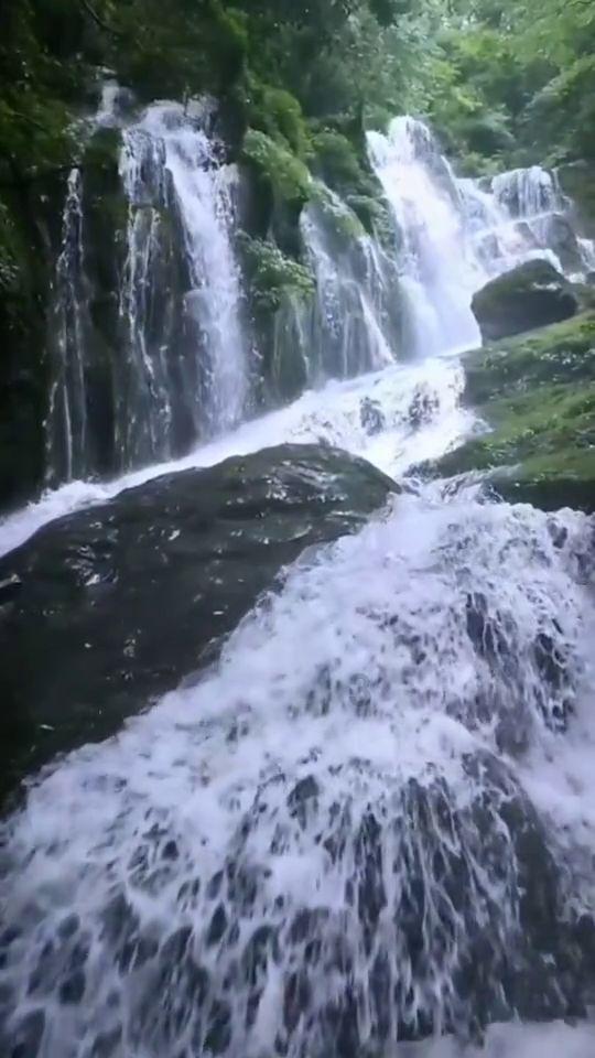 逃离痛苦的房子2